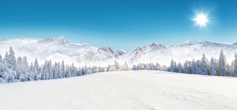 Winter snowy forest with alpen panorama and blue sky ~冬季多雪的森林與阿爾卑斯山全景和藍天（fotolia） ~ 相片取自大紀元